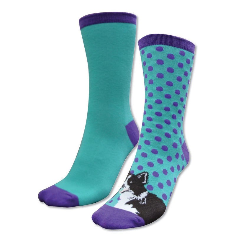 Kids Homestead Socks-Twin Pack (Purple/Turquoise (Collie)